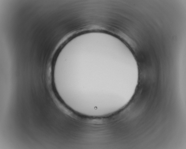 X0000113931126200910091556