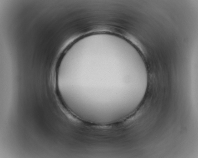 X0000113931127200910091556