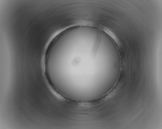 X0000113931128200910091556