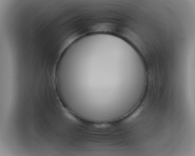 X0000113931129200910091556