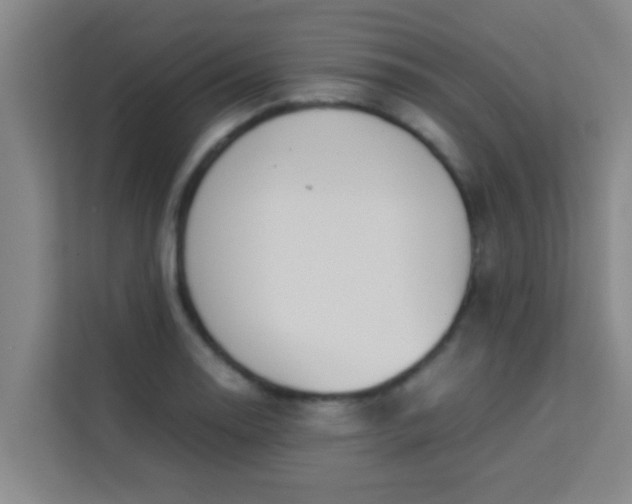 X0000113931130200910091556