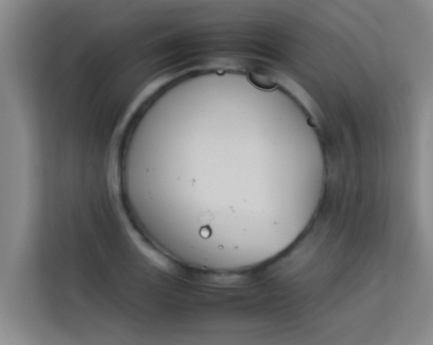 X0000113931131200910091556