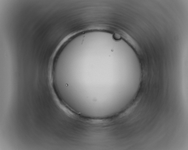 X0000113931132200910091556