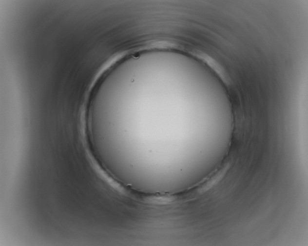 X0000113931134200910091556