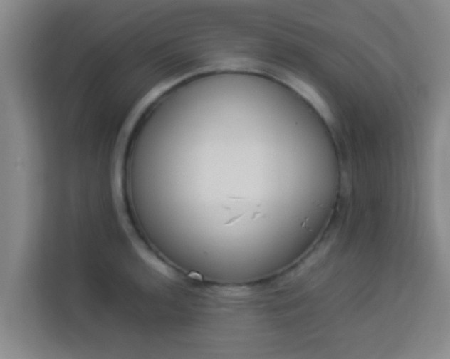 X0000113931136200910091556