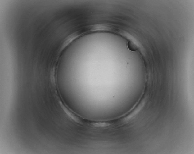 X0000113931137200910091556