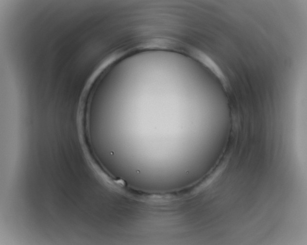 X0000113931138200910091556