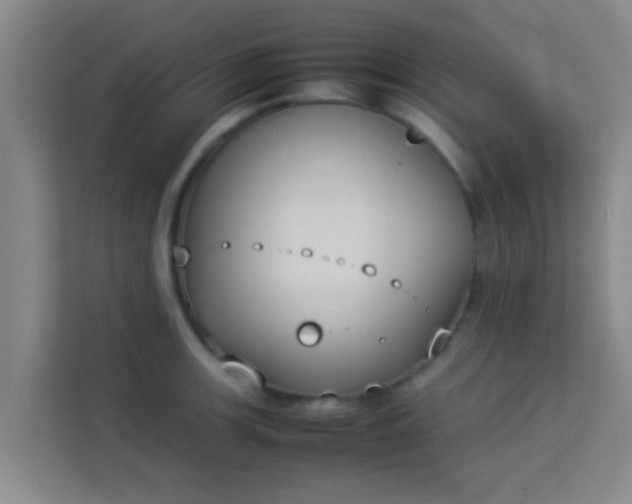 X0000113931139200910091556