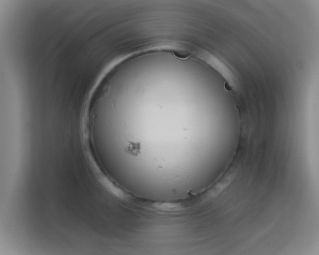 X0000113931140200910091556