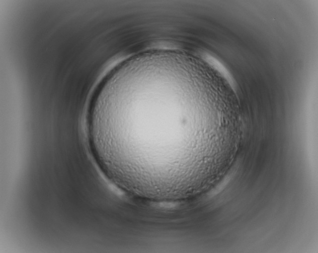 X0000113931141200910091556