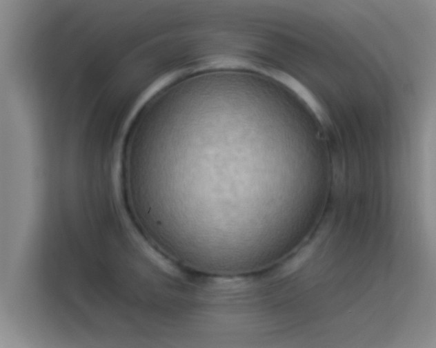 X0000113931142200910091556