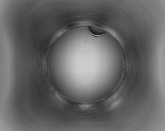 X0000113931145200910091556