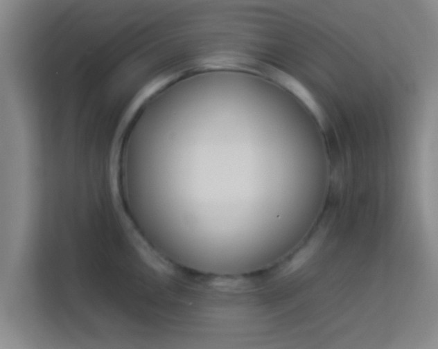 X0000113931146200910091556