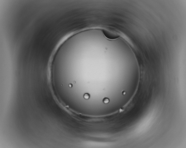 X0000113931151200910091557