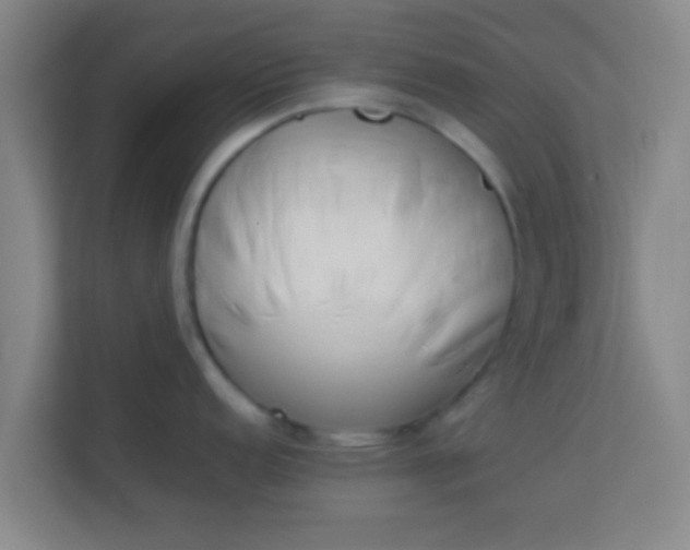 X0000113931152200910091557