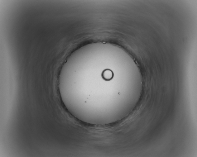 X0000113931153200910091556