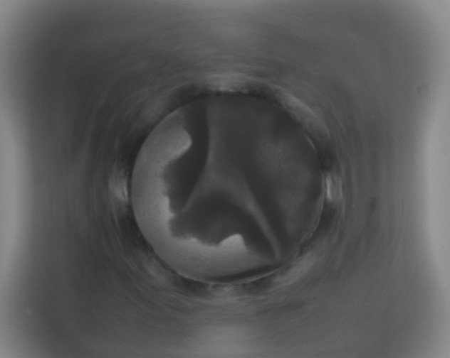 X0000113931155200910091556