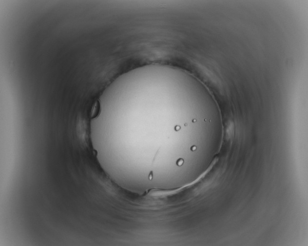 X0000113931156200910091556