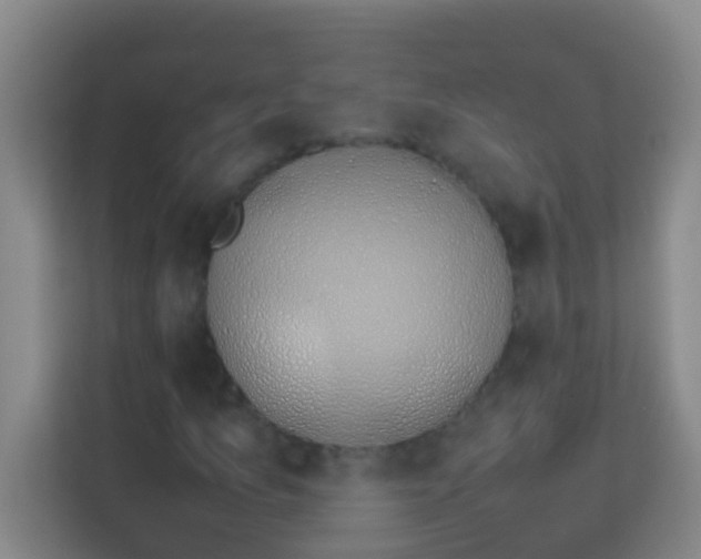 X0000113931157200910091556