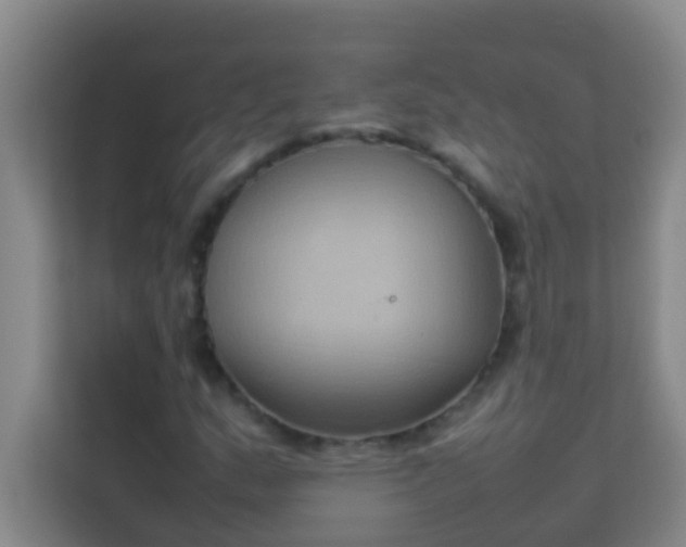 X0000113931159200910091556