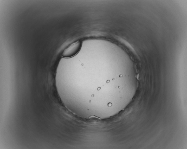 X0000113931160200910091556