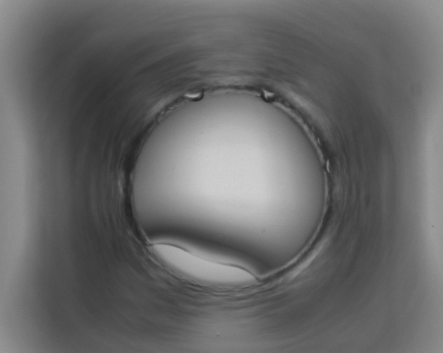 X0000113931161200910091556