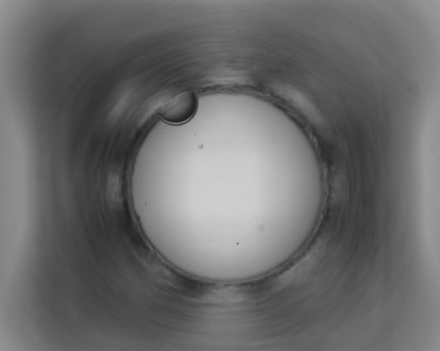 X0000113931162200910091556