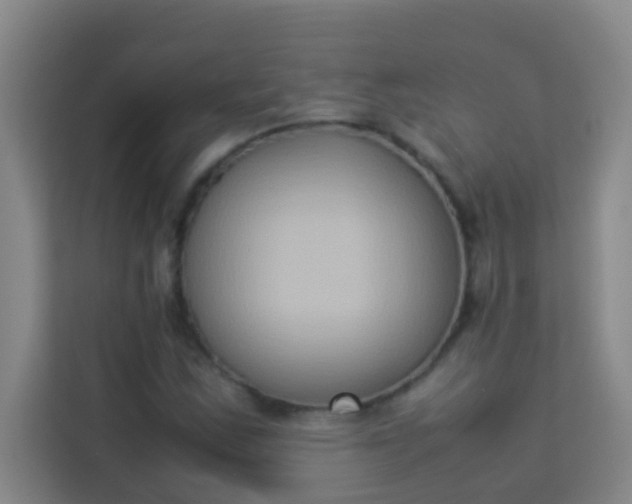 X0000113931163200910091556