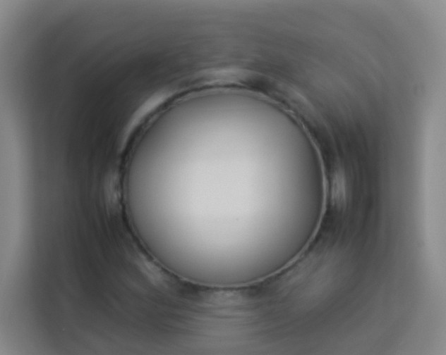 X0000113931164200910091556