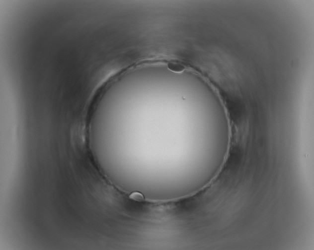 X0000113931165200910091556