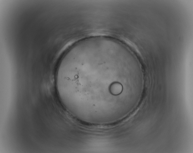 X0000113931167200910091556