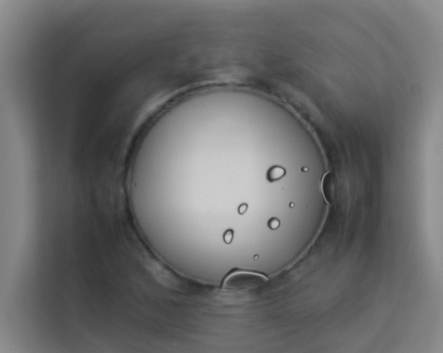 X0000113931168200910091556