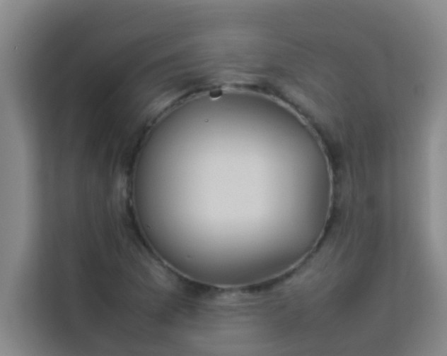 X0000113931169200910091556