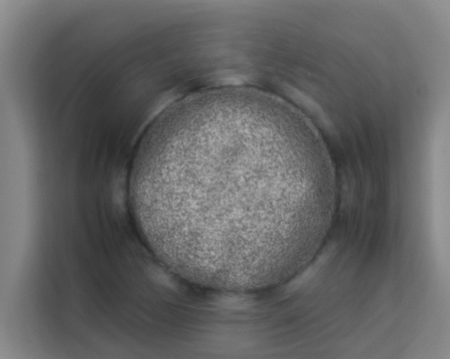 X0000113931170200910091556