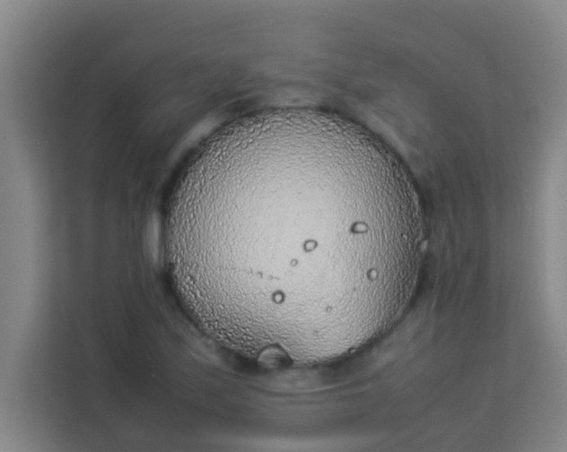 X0000113931171200910091556