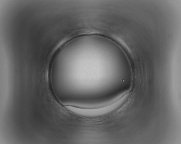 X0000113931173200910091556