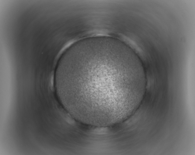 X0000113931174200910091556