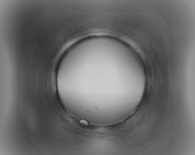 X0000113931175200910091556