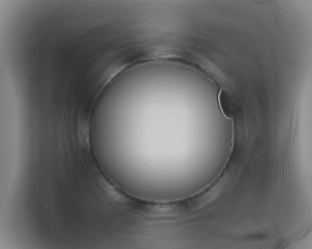 X0000113931177200910091556