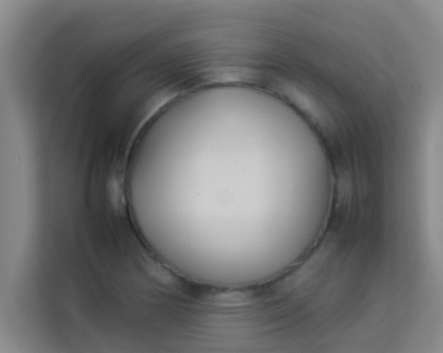 X0000113931178200910091556