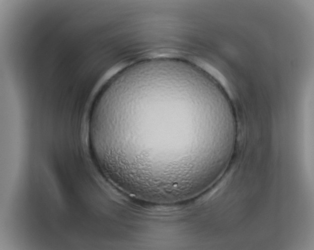 X0000113931179200910091556