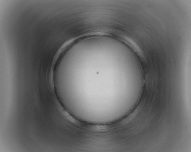 X0000113931180200910091556