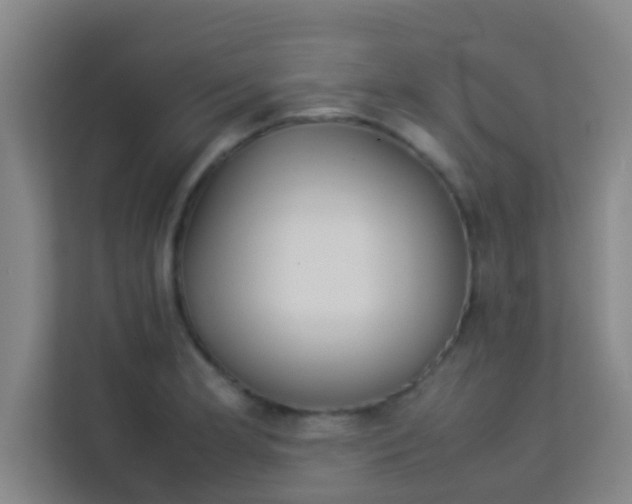 X0000113931181200910091556