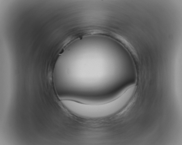 X0000113931185200910091555