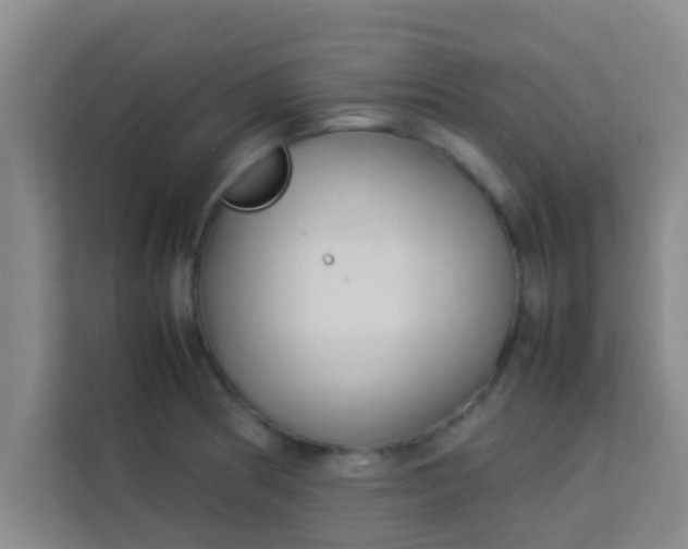 X0000113931186200910091555