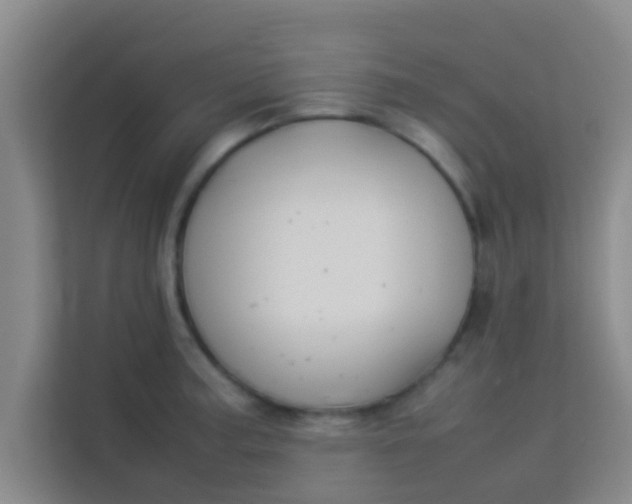 X0000113931187200910091555