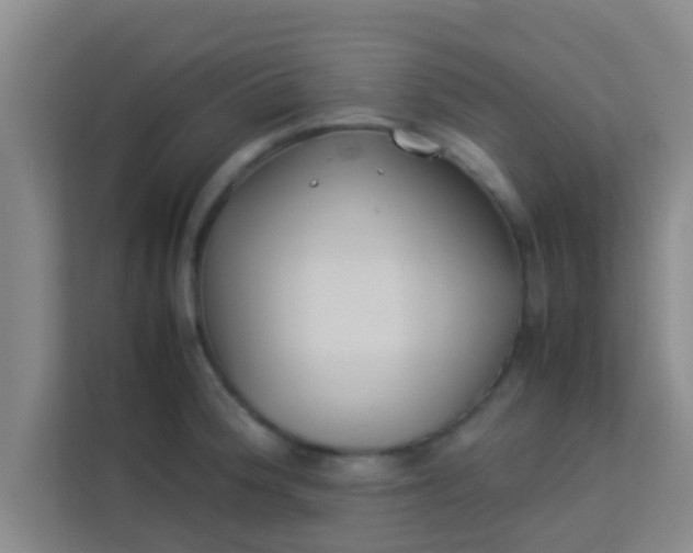 X0000113931188200910091555