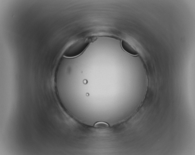 X0000113931189200910091555