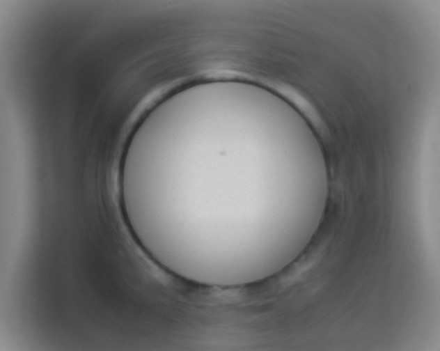 X0000113931191200910091555