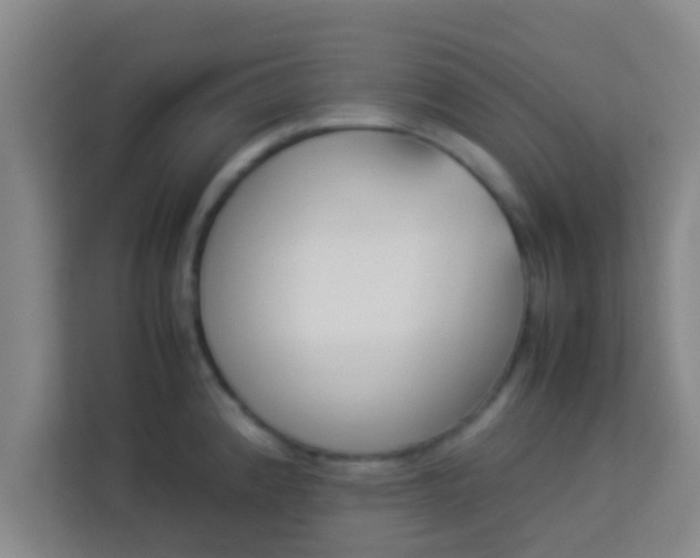 X0000113931192200910091555